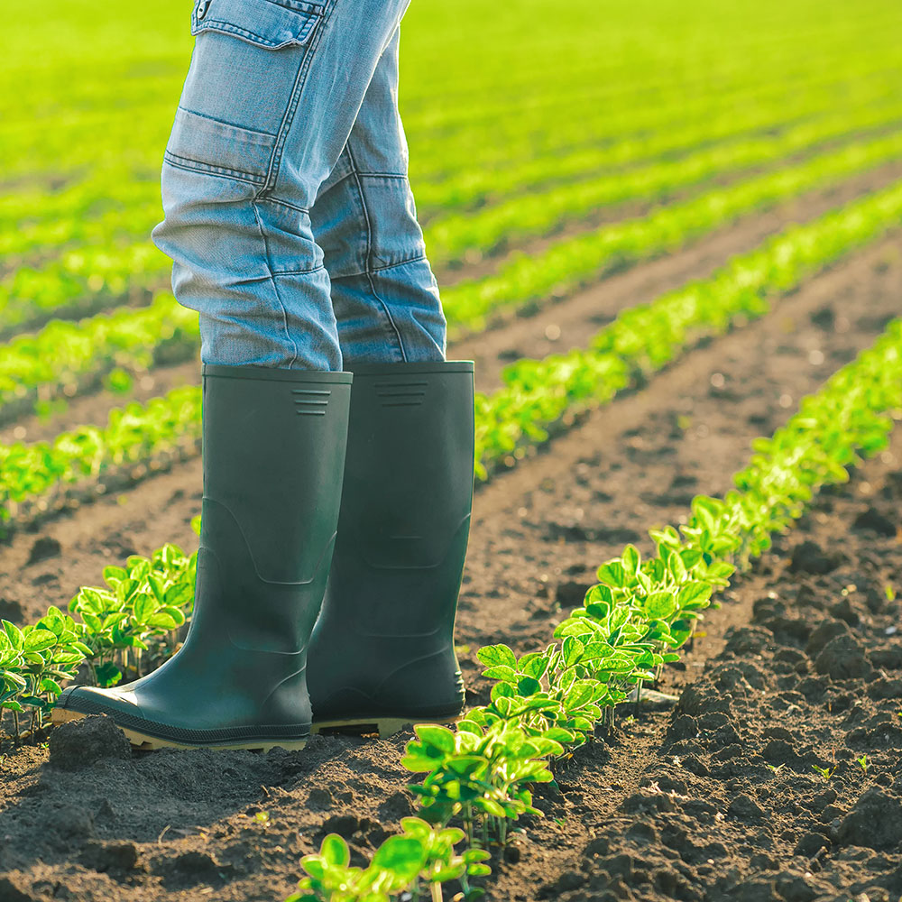 BIOTELLIGA-farmer-with-crops